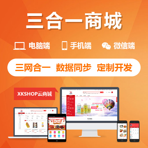 滁州国产化网站如何应对技术封锁挑战