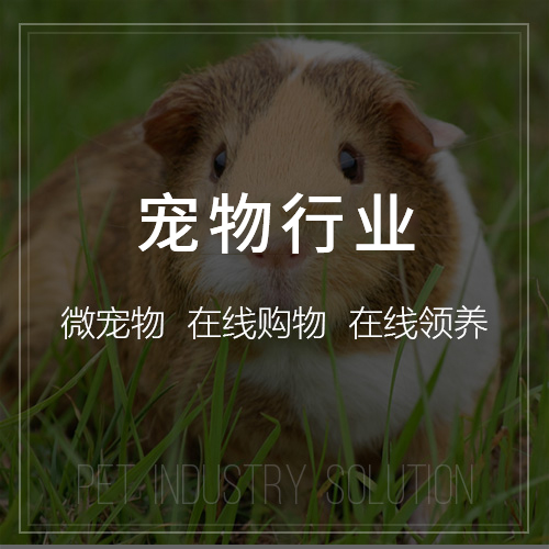 滁州OA系统开发中的权限管理与安全审计